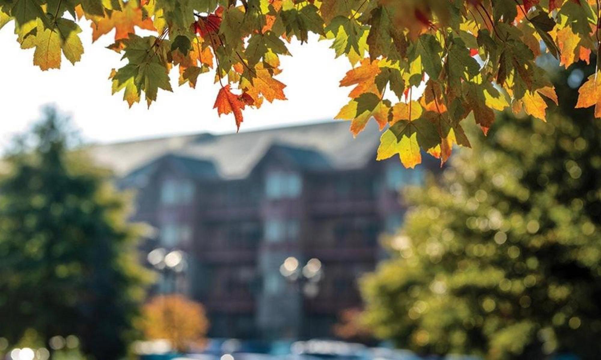 Great Smokies Lodge Sevierville By Hellovacay Eksteriør billede